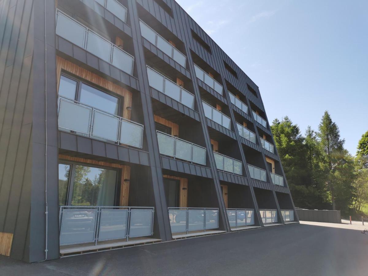 Apartman V Jizerkach Janov nad Nisou Exterior photo